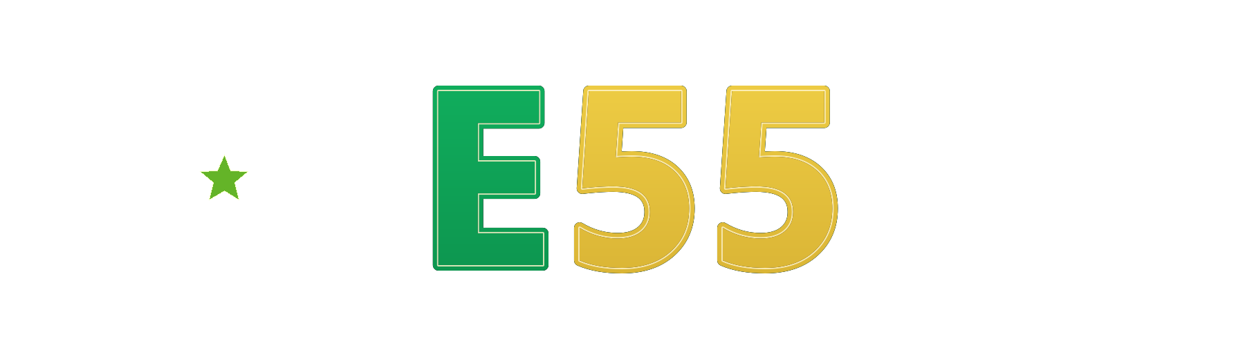 e55